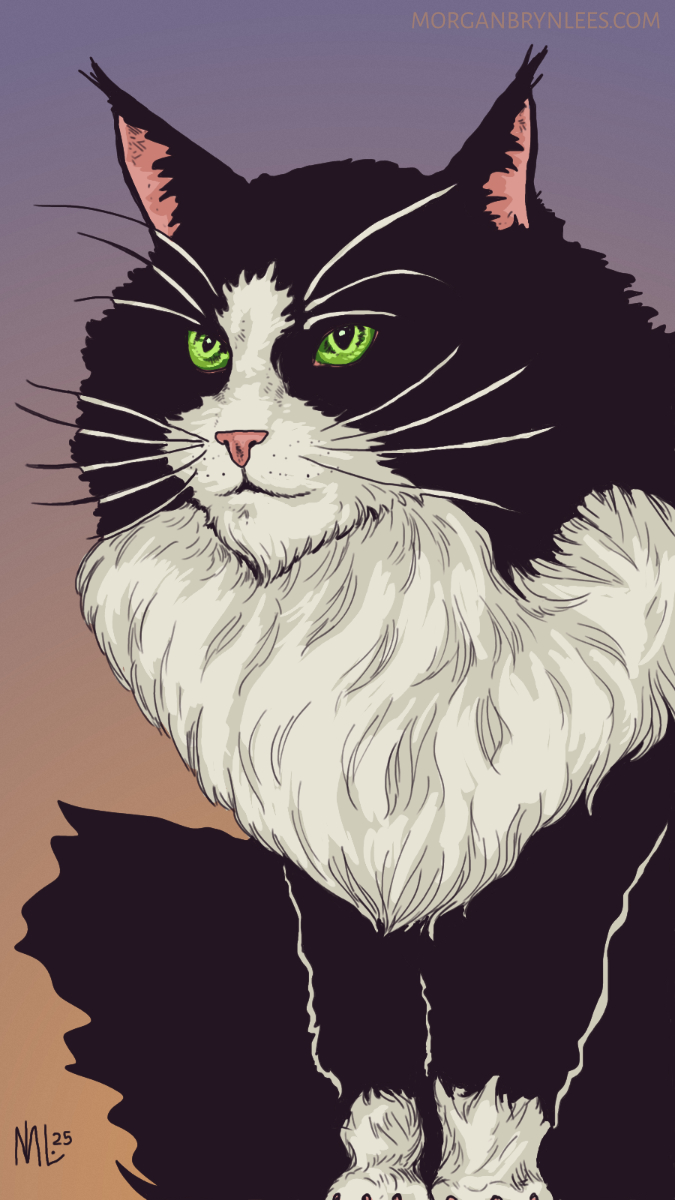 Daithi Portrait of a black and white cat, with the lower face, chest, and paws white, the rest black, and green eyes.